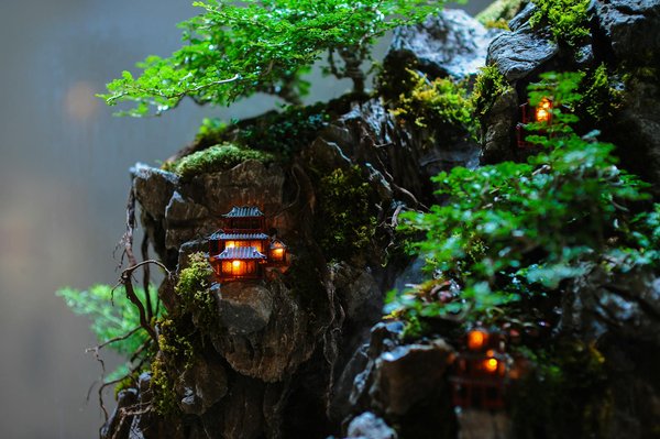 Lutter contre l'humidité : solutions adaptées pour votre maison